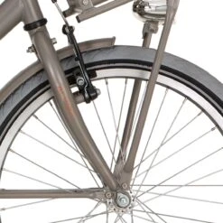 Alpina V Fork 20 Last M Vintage Guld Med Matt