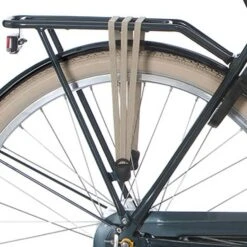 Cortina Bagagebære U5 D57/H61 Lake Green