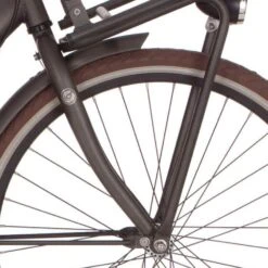 Cortina V Fork 26 U4 M RB Sort Gold Matt