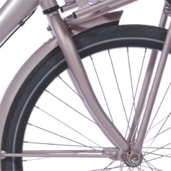 Cortina V Fork 24 U4 M Brilliant Silver Matt